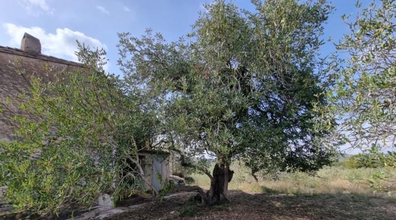 Tarragona - l'Ampolla - 22496m2