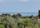 Xalet independent amb terreny en venda a la España, l'Ampolla, ref.: TR417188 foto