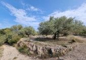 Xalet independent amb terreny en venda a la España, l'Ampolla, ref.: TR417188 foto