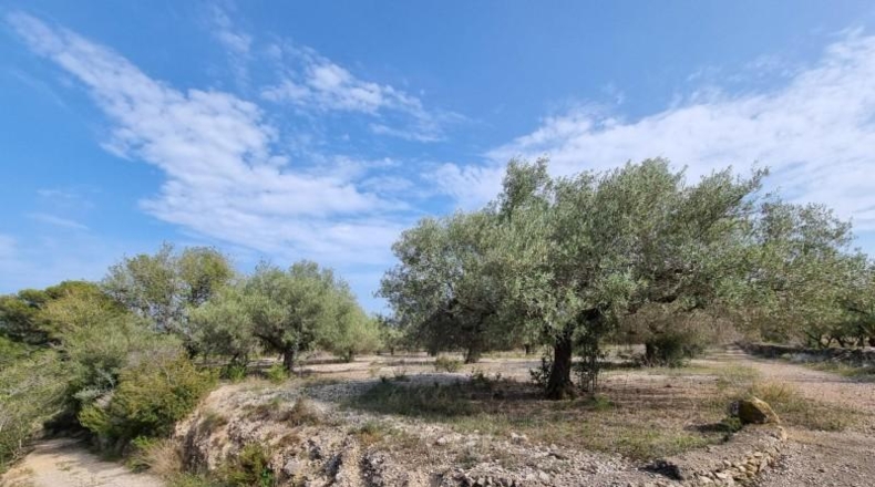 Tarragona - l'Ampolla - 22496m2