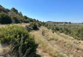 Terreno no urbanizable en venta en la España, Benissa, ref: TR417193 foto