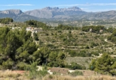 Terreno no urbanizable en venta en la España, Benissa, ref: TR417193 foto