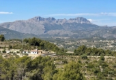 Terreno no urbanizable en venta en la España, Benissa, ref: TR417193 foto