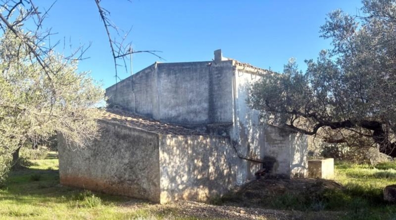 Tarragona - l'Ampolla - 32734m2