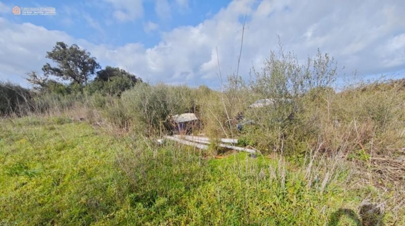 Islas Baleares - Capdepera - 8274m2