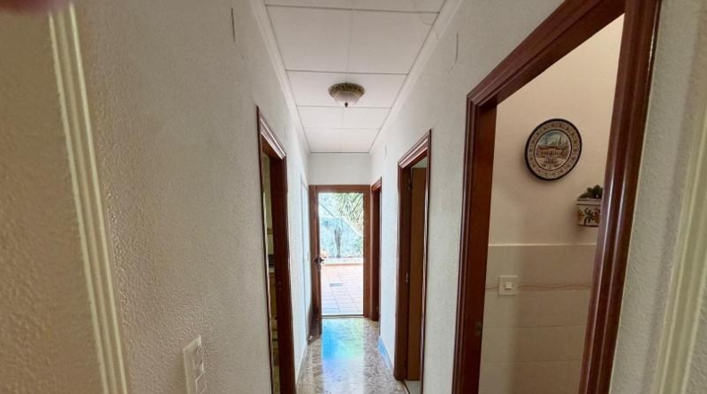 Alicante - Pedreguer - 256m2