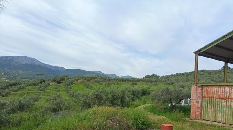 Málaga - Málaga - 23235m2