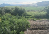 Terreno no urbanizable en venta en la España, Málaga, ref: TR417217 foto
