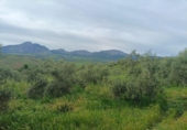 Terreno no urbanizable en venta en la España, Málaga, ref: TR417217 foto