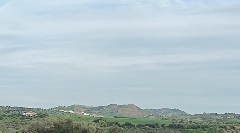 Málaga - Málaga - 23235m2