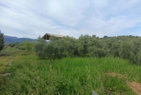 Málaga 23235&nbsp;m²
