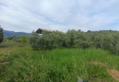 Terreno no urbanizable en venta en la España, Málaga, ref: TR417217 foto
