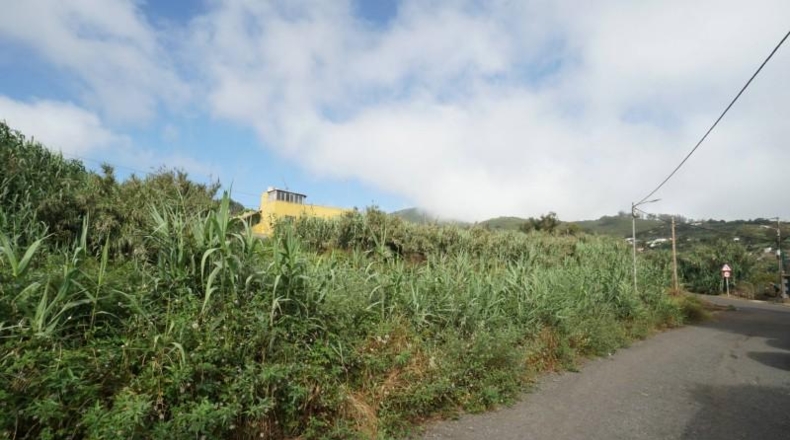 Las Palmas - Teror - 2724m2