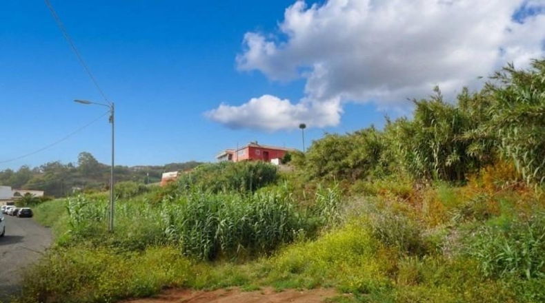 Las Palmas - Teror - 2724m2