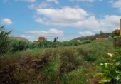 Suelo urbano en venta en la España, Teror, ref: TR417234 foto