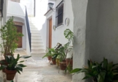 Village house for sale on España, Vejer de la Frontera, ref: TR283547 photo