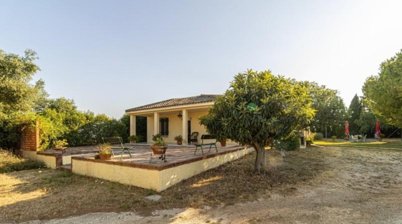 Кадис - Jerez de la Frontera - 2100m2