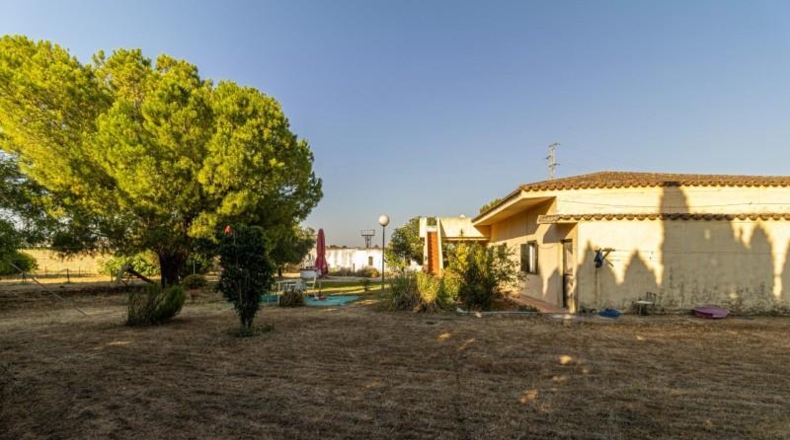 Кадис - Jerez de la Frontera - 2100m2