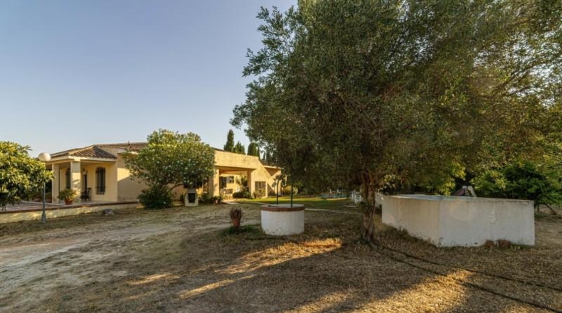 Кадис - Jerez de la Frontera - 2100m2