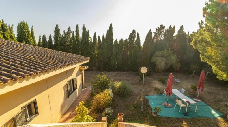 Кадис - Jerez de la Frontera - 2100m2