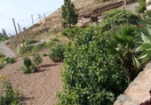 Chalet independiente con terreno en venta en la España, Granadilla de Abona, ref: TR417245 foto