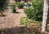 Chalet independiente con terreno en venta en la España, Granadilla de Abona, ref: TR417245 foto