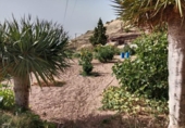 Chalet independiente con terreno en venta en la España, Granadilla de Abona, ref: TR417245 foto
