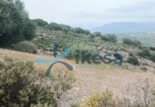 Parcela urbanizable en venta en la España, Alhaurín el Grande, ref: TR390888 foto