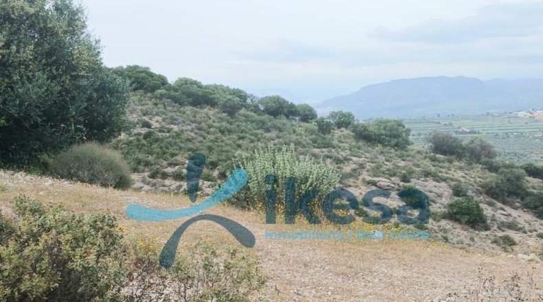 Málaga - Alhaurín el Grande - 1406m2