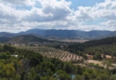 Detached villa with land for sale on España, Sax, ref: TR417266 photo