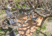 Detached villa with land for sale on España, Collbató, ref: TR417265 photo