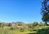 Casa con terreno en venta en la España, Felanitx, ref: TR287729 foto