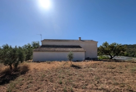 Arenas del Rey 60000&nbsp;m²