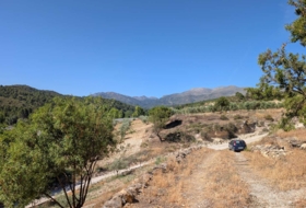 Arenas del Rey 60000&nbsp;m²