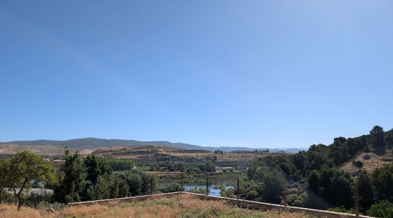 Granada - Arenas del Rey - 60000m2