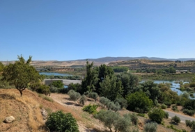 Arenas del Rey 60000&nbsp;m²