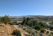 Finca rústica en venta en la carretera de Fornes, Arenas del Rey, ref: TR417262 foto