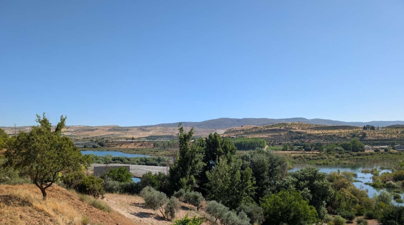Granada - Arenas del Rey - 60000m2