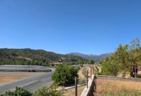 Arenas del Rey 60000&nbsp;m²