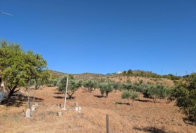 Arenas del Rey 60000&nbsp;m²