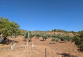 Finca rústica en venta en la carretera de Fornes, Arenas del Rey, ref: TR417262 foto