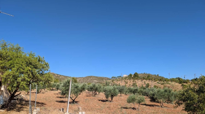 Granada - Arenas del Rey - 60000m2