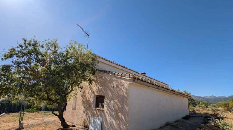 Granada - Arenas del Rey - 60000m2