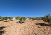 Finca rústica en venta en la carretera de Fornes, Arenas del Rey, ref: TR417262 foto