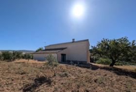 Arenas del Rey 60000&nbsp;m²