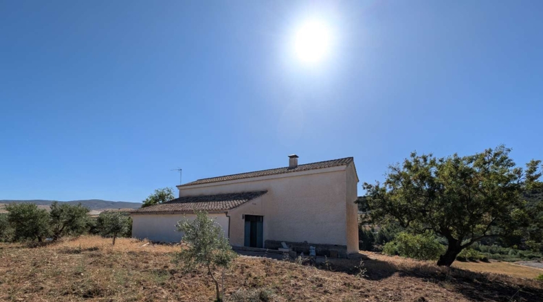 Granada - Arenas del Rey - 60000m2