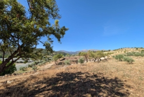 Arenas del Rey 60000&nbsp;m²
