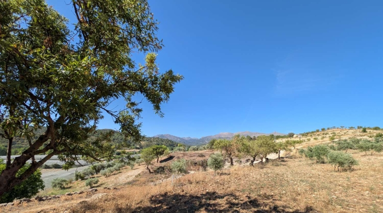Granada - Arenas del Rey - 60000m2