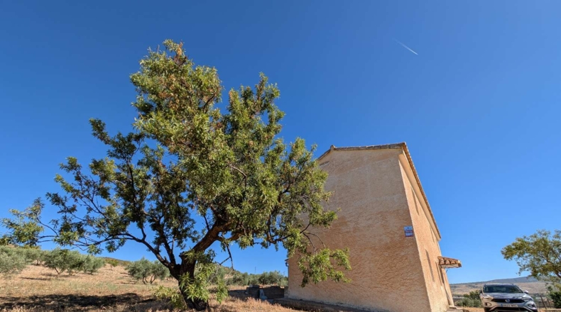 Granada - Arenas del Rey - 60000m2