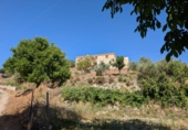Finca rústica en venta en la carretera de Fornes, Arenas del Rey, ref: TR417262 foto